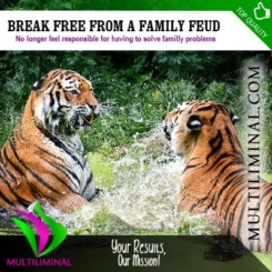 Break Free from a Family Feud