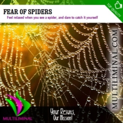Fear of Spiders