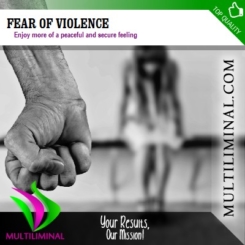 Fear of Violence